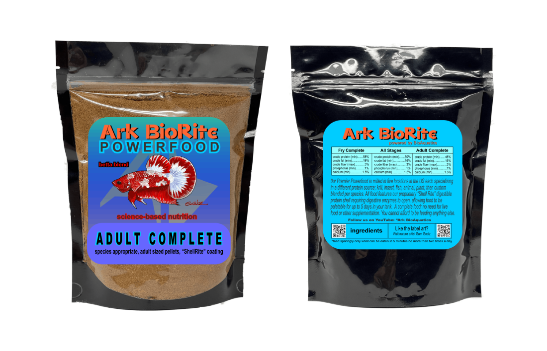 Bettas