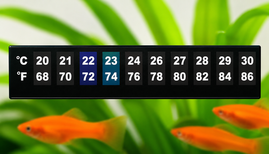 When to Raise the Temperature in a Freshwater Aquarium?