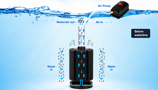 The Advantages of Air-Driven Sponge Filters in Aquarium Filtration