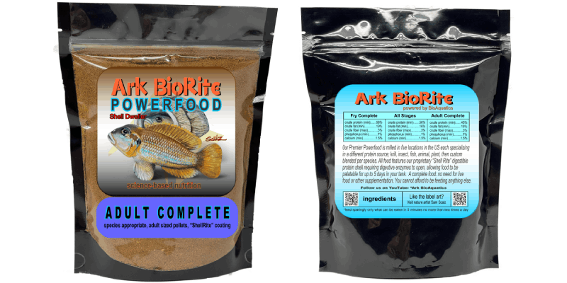 Shell Dwellers