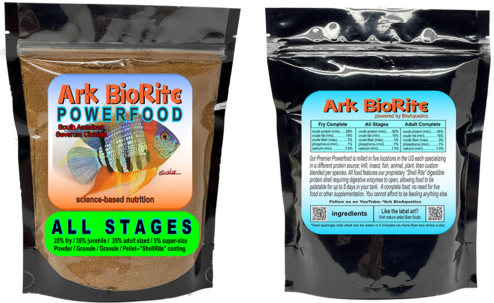 South American Severum Cichlids