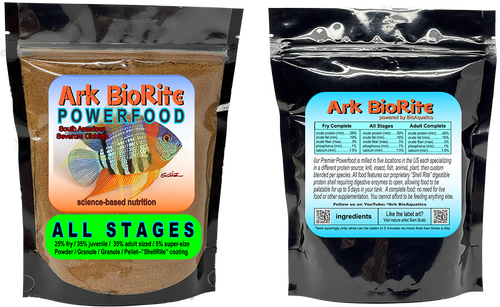South American Severum Cichlids