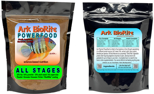 South American Severum Cichlids