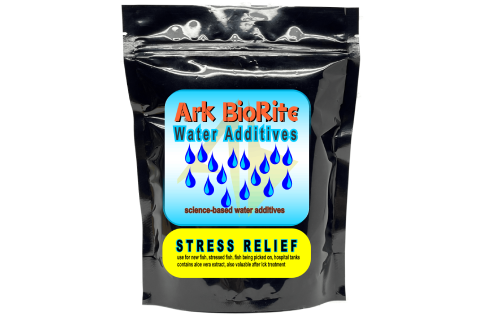 Stress Relief